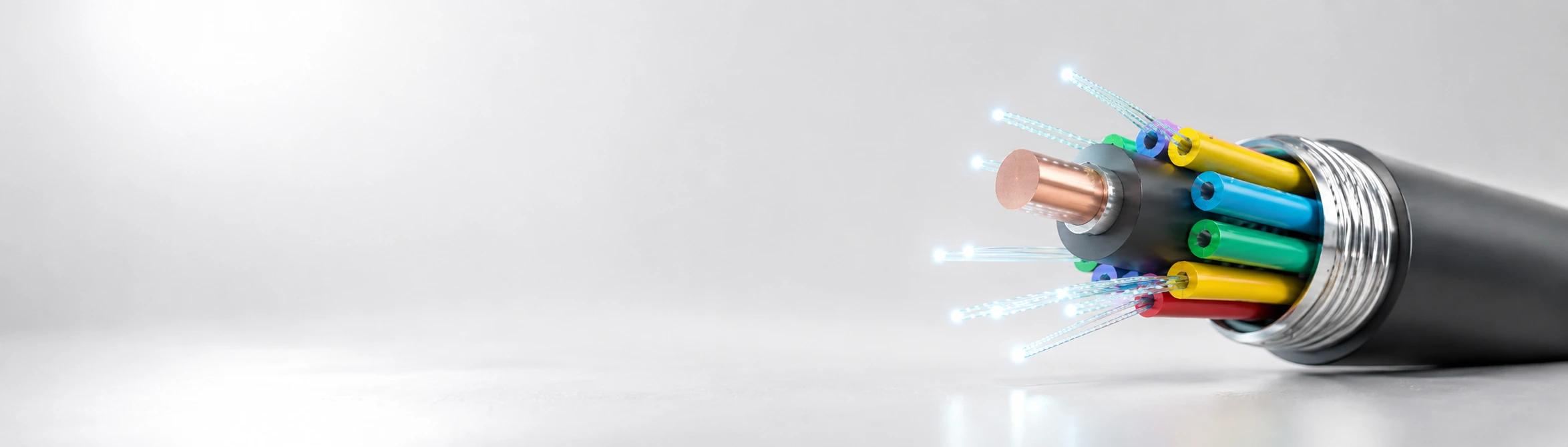 Fiber Equipment category preview